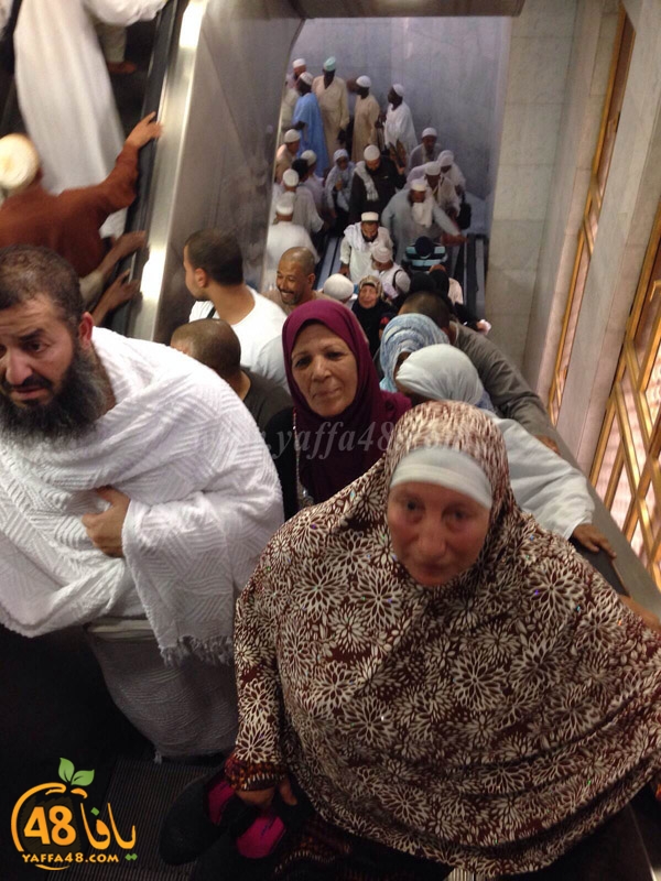 7Ojaj yaffa (18).JPG